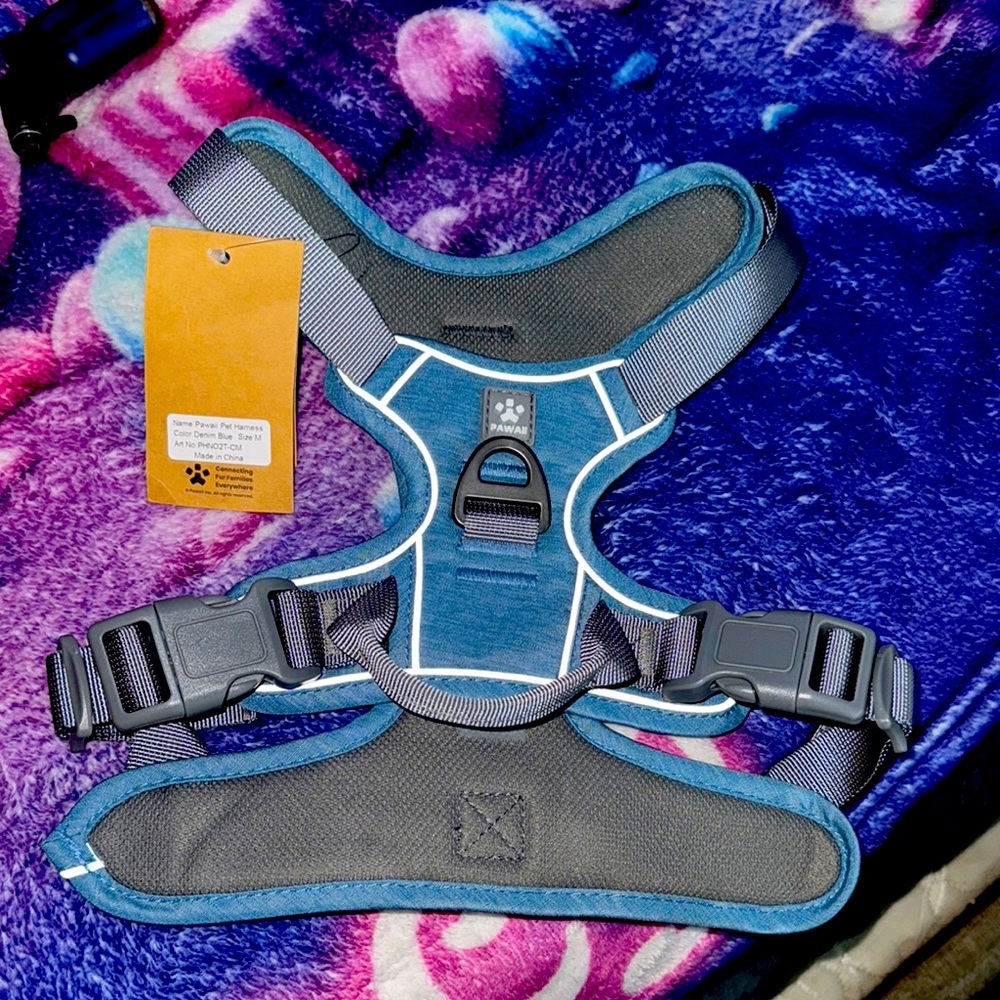 Blue Kids Harness